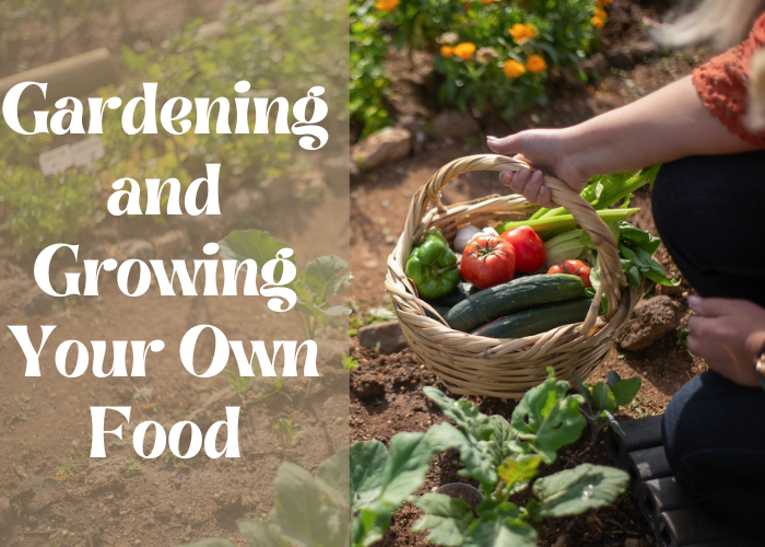 The Power of Gardening and Growing Your Own Food