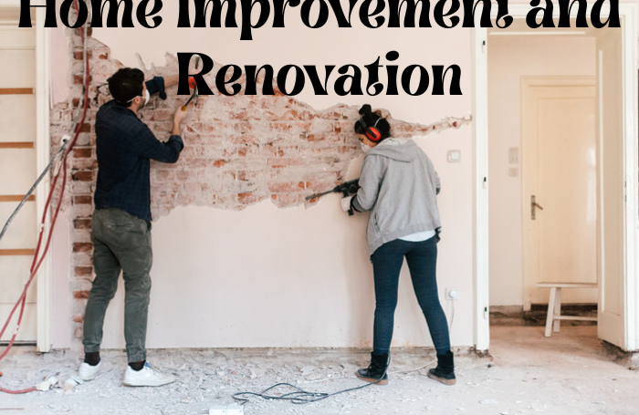 Home Improvement and Renovation
