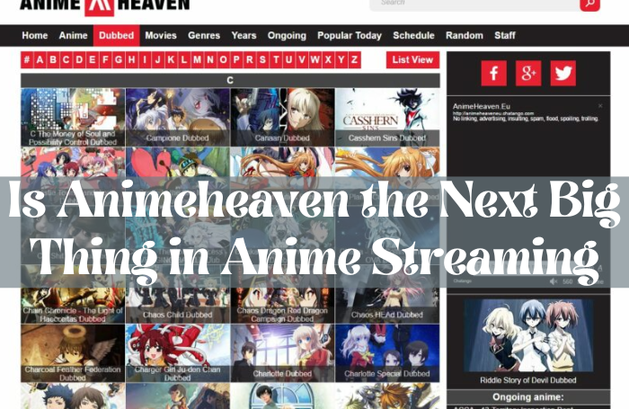 Is Animeheaven the Next Big Thing in Anime Streaming